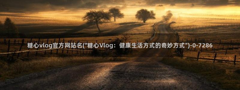 糖心vlog软件博客