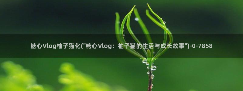 糖心vlog不惊醒