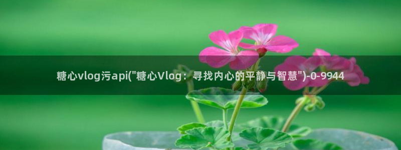 糖心vlog传媒作品