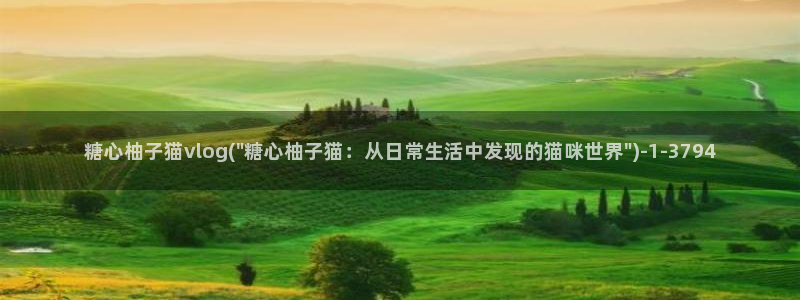 糖心vlog瑶瑶公主