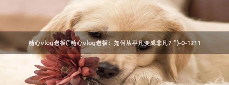 糖心硅谷vlog：糖心vlog老板(\