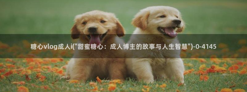 糖心vlog包子视频：糖心vlog成人i(\