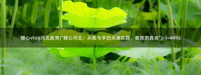 糖心小桃vlog资源：糖心vlog河北教育(\