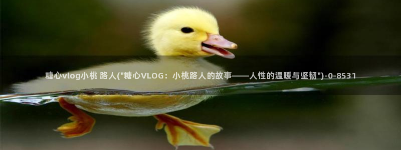糖心vlog up主：糖心vlog小桃 路人(\