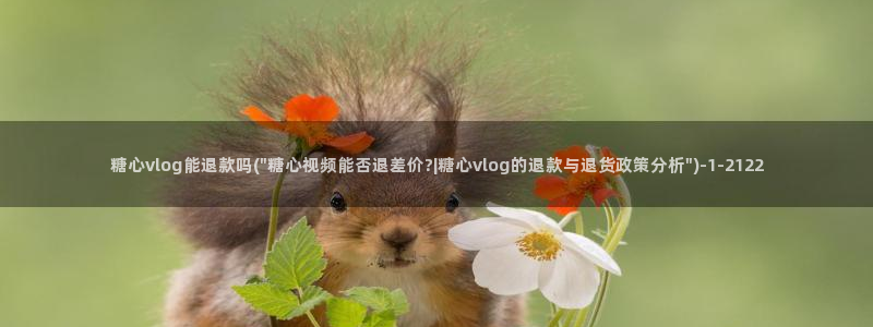 糖心vlog姐姐导师：糖心vlog能退款吗(\