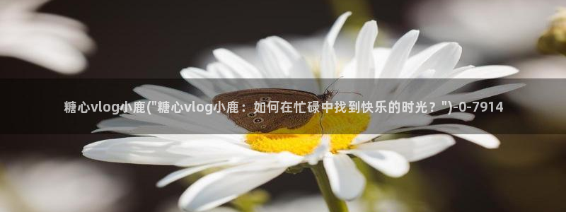 糖心vlog刷规则：糖心vlog小鹿(\