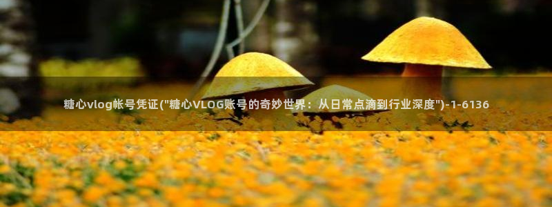 糖心vlog传媒下载：糖心vlog帐号凭证(\