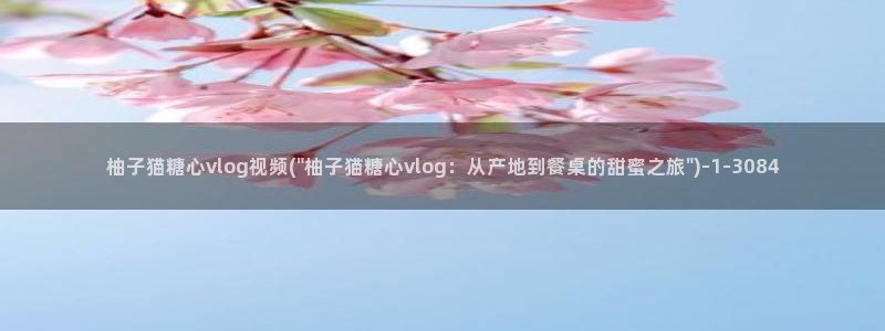 糖心Vlog cos蕾
